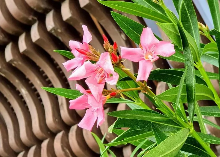 Varga Gardens 度假居 Balatonmáriafürdő